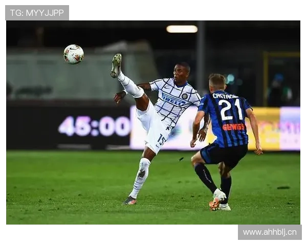 阿什利扬战术适配性