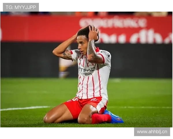 西甲维特塞尔新援